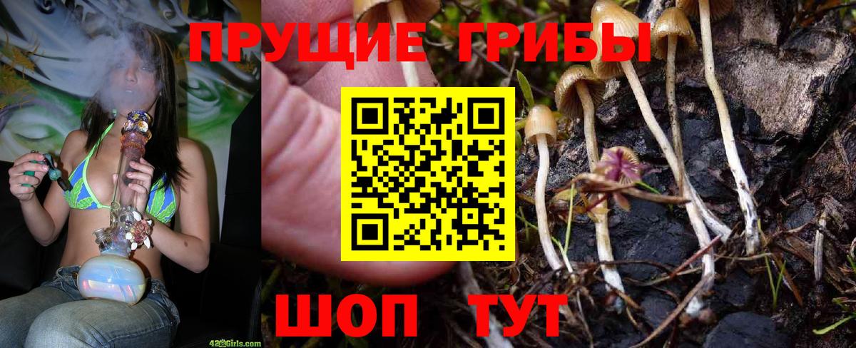 Псилоцибиновые грибы MAGIC MUSHROOMS  Галлюциногенные грибы мицелий  Вход с VPN  Вятские Поляны 