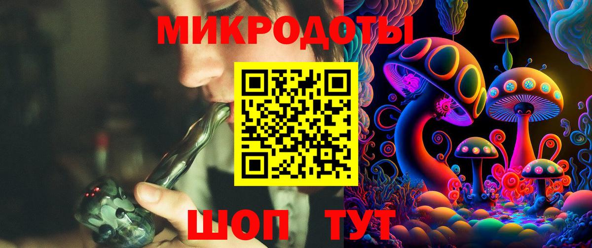 Галлюциногенные грибы Psilocybine cubensis Вятские Поляны